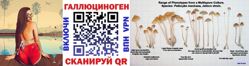 Псилоцибиновые грибы прущие грибы  мориарти клад  Родники 